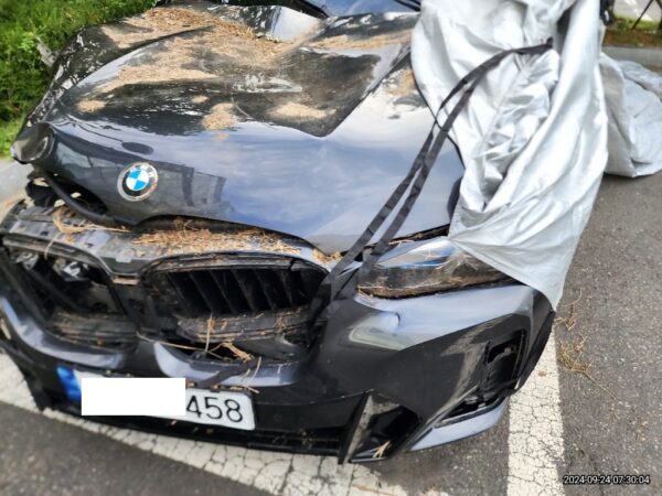 BMW X4 xDrive20i — 2022 model