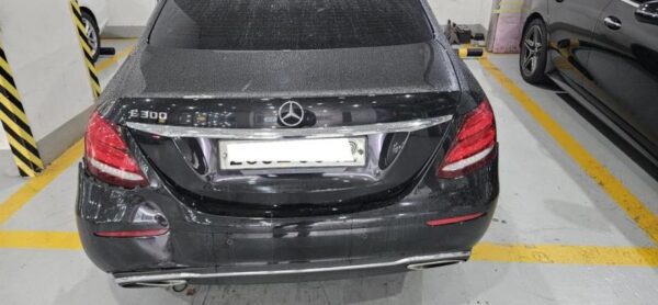 Benz / E300 – 2019 – WDDZF4JB0KA676755