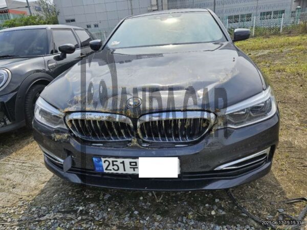 BMW 520d Luxury