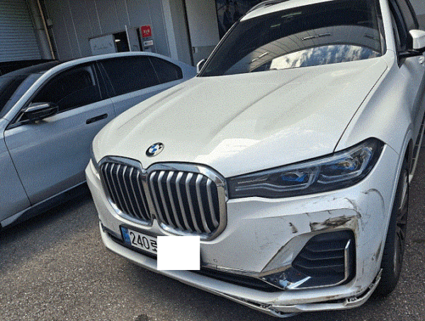 BMW X7 xDrive30d Design Pure Excellence