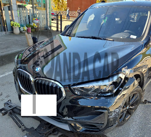 BMW X1 xDrive20i Advantage