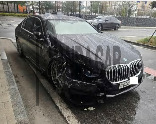 BMW 745e iPerformance M Sport Package(20)