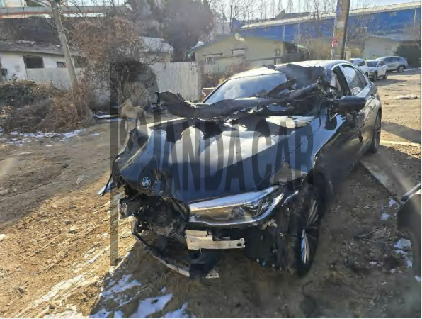BMW 520d Luxury