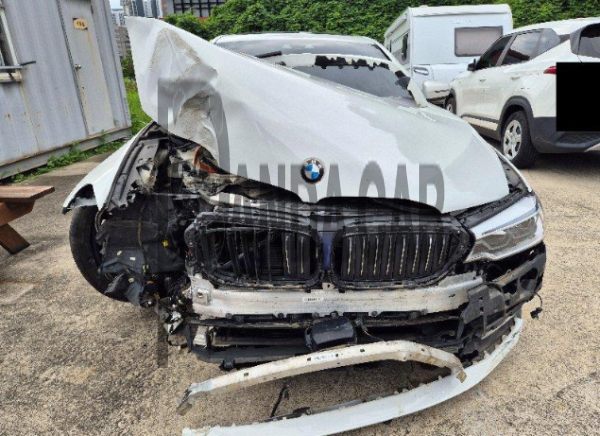 BMW 530i xDrive Luxury
