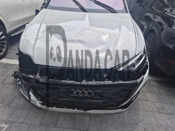 Q8 55 TFSI quattro