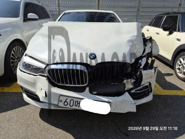 BMW 520d Luxury